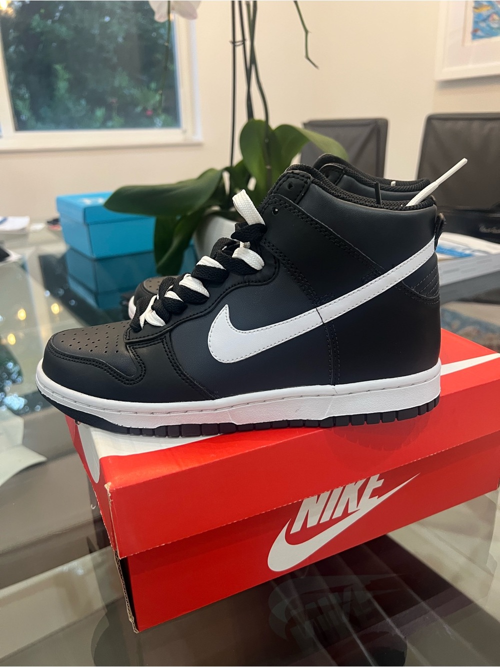 Jordan high top Dunks